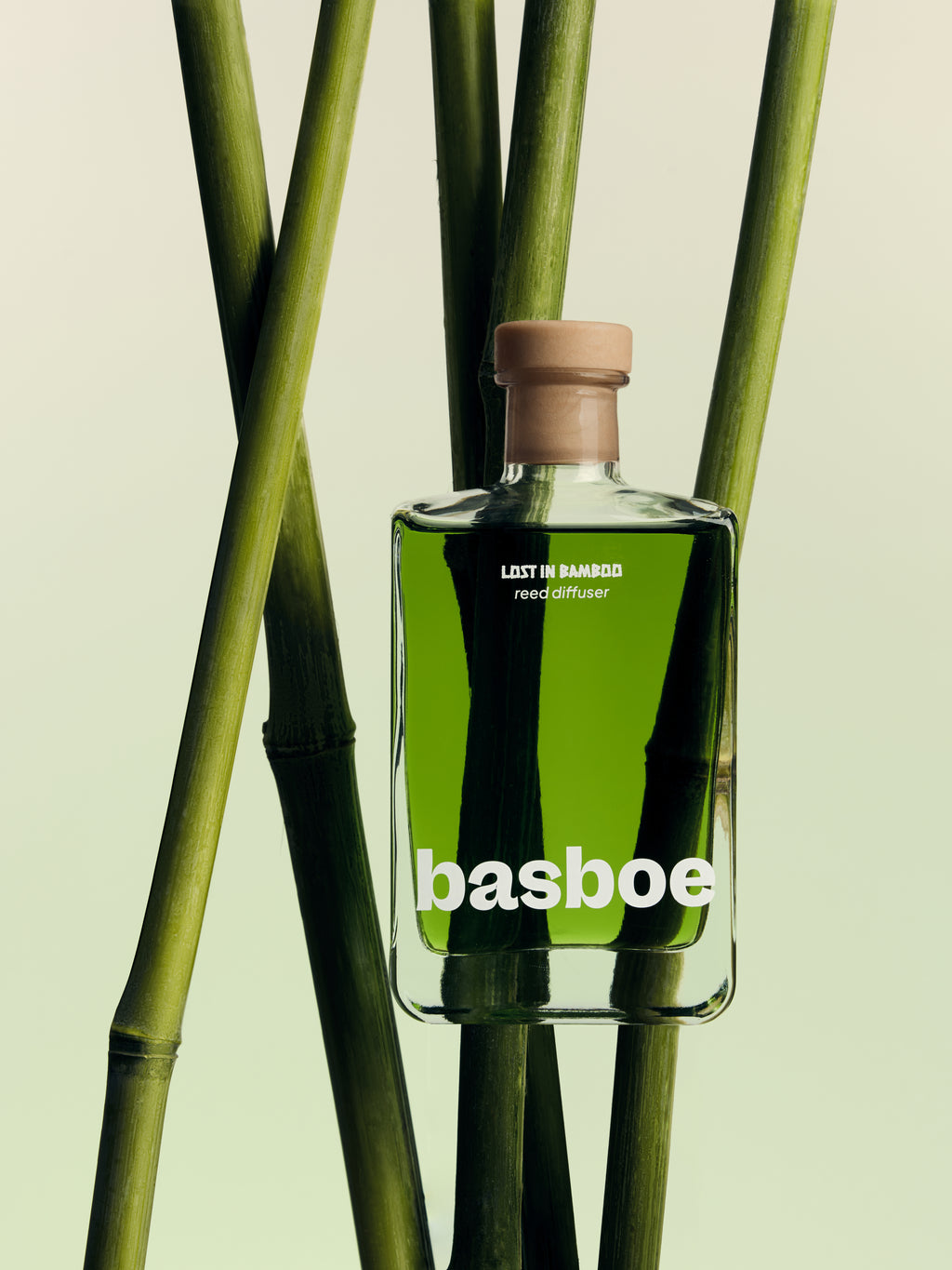 lost in bamboo